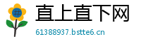 直上直下网